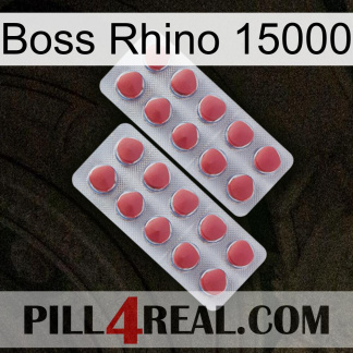 Boss Rhino 15000 19